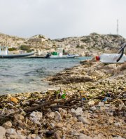 Ramassage DCSMM - Plage de Napoléon (Port St Louis)