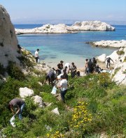 Grand ramassage au Frioul – criques,plages,collines – ambiance à la Fête!