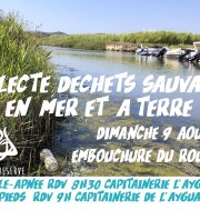 Collecte Déchets Sauvages Terre Et Mer