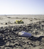 Ramassage DCSMM saison 4 - Plage de Napoléon (Port St Louis du Rhône)