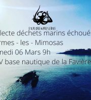 Collecte de déchets marins échoués