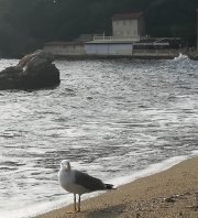 Exposition sur le plastique-déchets plastiques sur la plage.