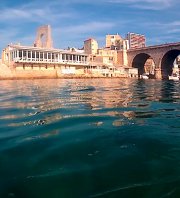 Coup de propre des Amis du Vallon des Auffes