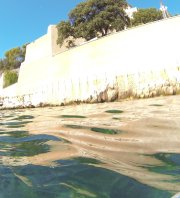 Nettoyage sous-marin devant la Citadelle