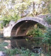 Dépollution des berges de La Mosson