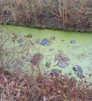 Dépollution d'un canal