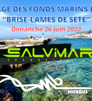 Nettoyage des fonds marins en apnée - Brise-lames de Sète