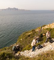 Ramassage calanque de Cortiou