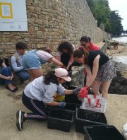 Journée mondiale de l'océan le 8 juin