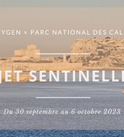 Projet Sentinelle Marine de l’Archipel du Frioul - J3