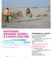 Grand ramassage de déchets marins