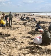 Nettoyage de plage et du littoral / Plage des Sables Blancs, Plouharnel