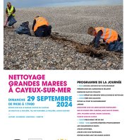 Grand ramassage de déchets marins