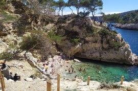 Calanque de Sugiton (forêt)