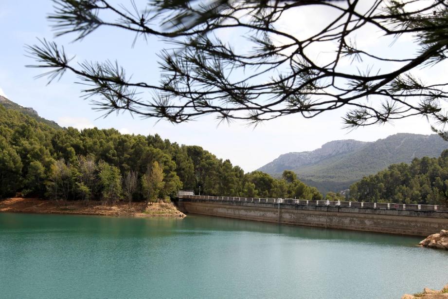 Nettoyage des berges du lac du Revest avec l'AAPPMA et Veolia